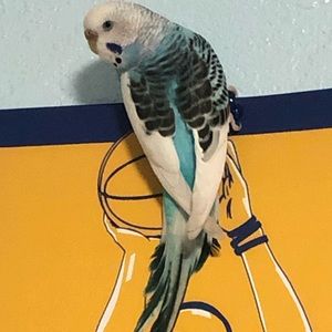 Meet your Posher, Rianne